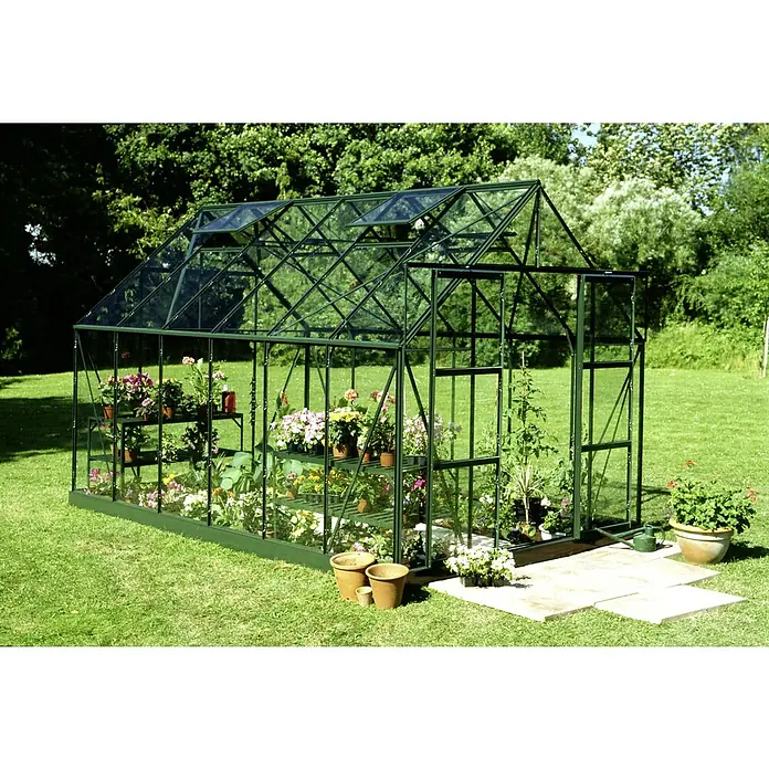 Halls Gewächshaus Magnum 128 - Außenmaß inkl. Dachüberstand (B x T): 257 x 384 cm, Grün, Wandstärke: 3 mm - Gewächshaus mit Glasfront, gefüllt mit Topfpflanzen, steht auf einem Rasen vor Bäumen.