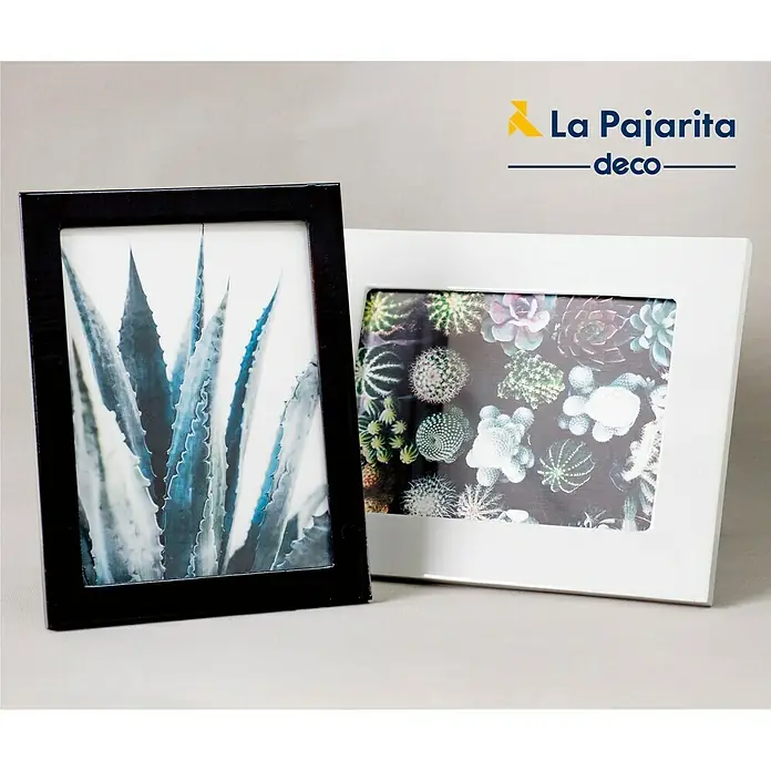 La Pajarita Pintura Gloss Paint Sometimes, 75 ml - Brillante - Elegantes marcos de fotos: Un marco negro con diseño de agave y un marco blanco con imagen de cactus, ideales para decoraciones modernas.