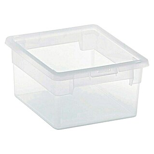 Terry Light Box Caja con tapa (17,8 x 20,4 x 10 cm, Capacidad: 2,5 l)