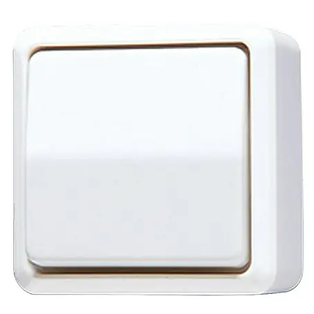 Jung AP 600 Wechselschalter 606AWW