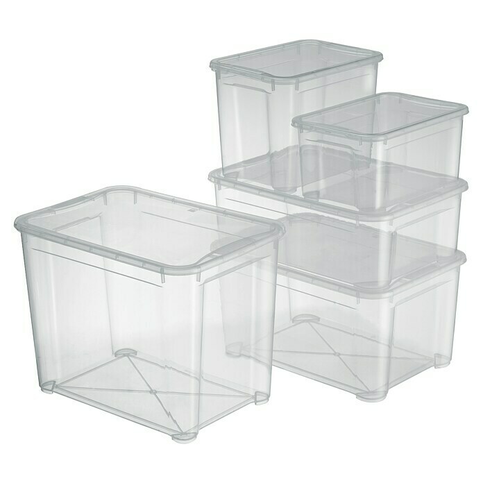 Regalux Clear Box L (L x B x H: 54,8 x 38,4 x 28,3 cm, 47 l, Transparent)