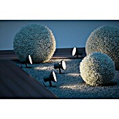 Osram Endura Style LED-Gartenspot-Set Spot (4 x 16,5 W, Schwarz, Aluminium, IP65, Höhe: 20 cm)