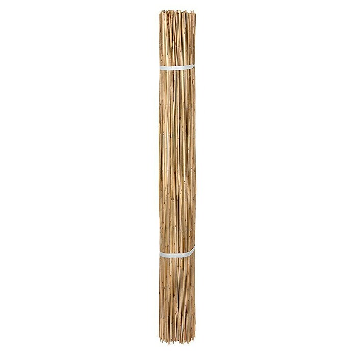 Windhager Sichtschutzmatte Nantai (L x H: 600 x 200 cm, Schilfrohr) | BAUHAUS