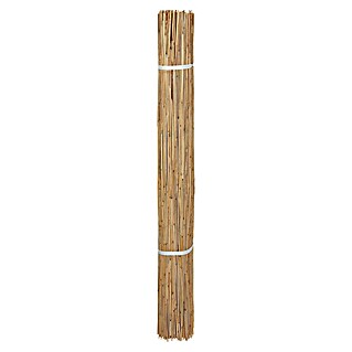 Windhager Sichtschutzmatte Nantai (L x H: 600 x 180 cm, Schilfrohr)