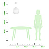 Lámpara colgante Litch (60 W, Ø x Al: 27 x 40 cm, Blanco, E27) | BAUHAUS