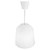 Lámpara colgante Litch (60 W, Ø x Al: 27 x 40 cm, Blanco, E27) | BAUHAUS