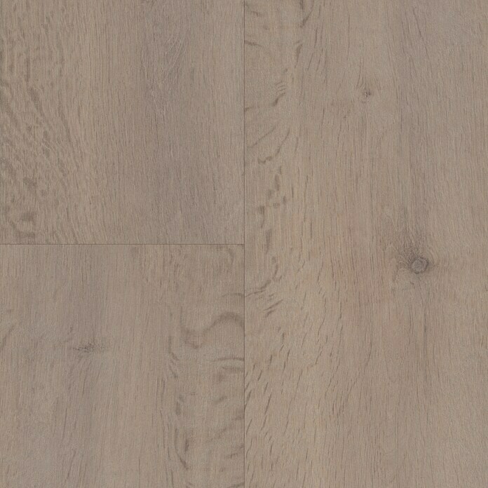 LOGOCLIC Vinto Laminat Infinity Oak (1.285 x 192 x 8 mm, Landhausdiele)