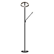 Tween Light Lámpara de pie LED Orlando (Altura: 180 cm, Cromo, Cromo, Blanco cálido) | BAUHAUS