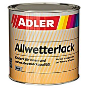 Adler Kunstharzlack Allwetterlack (Farblos, 2,5 l, Matt)