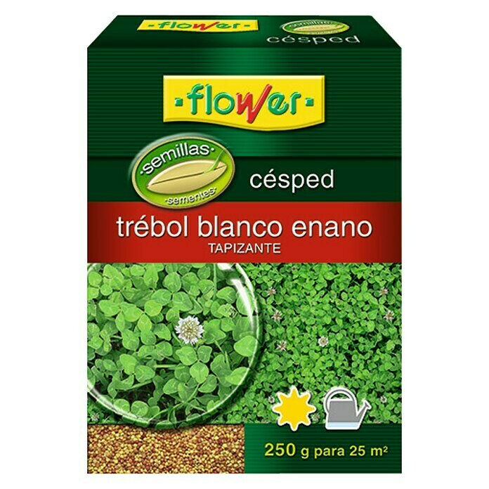 Flower Semillas para césped Trébol Blanco Enano (250 g)
