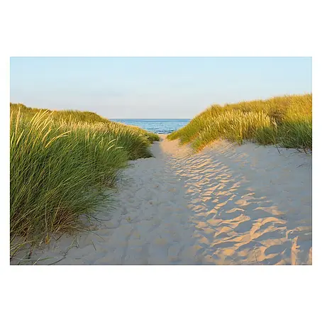 Komar  Fototapete Sandy Path