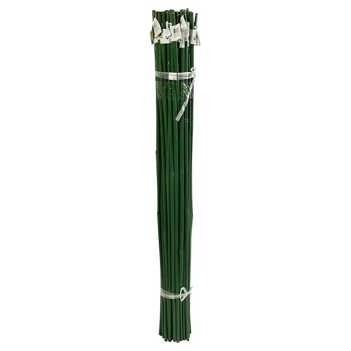 Nortene Tutor de bambú Plast - Largo: 60 cm - Un fardo de estacas de jardín verdes atadas con cinta transparente, ideales para sujetar plantas.