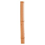 Nortene Kokosov štap (Duljina: 60 cm)