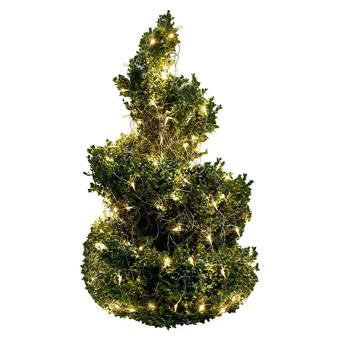 Tween Light Malla de luces LED - Para exterior, 2 m, Color de luz: Blanco cálido, Funcionamiento en red - Un boj exuberante en forma de espiral adornado con luces cálidas y parpadeantes, creando un ambiente festivo.
