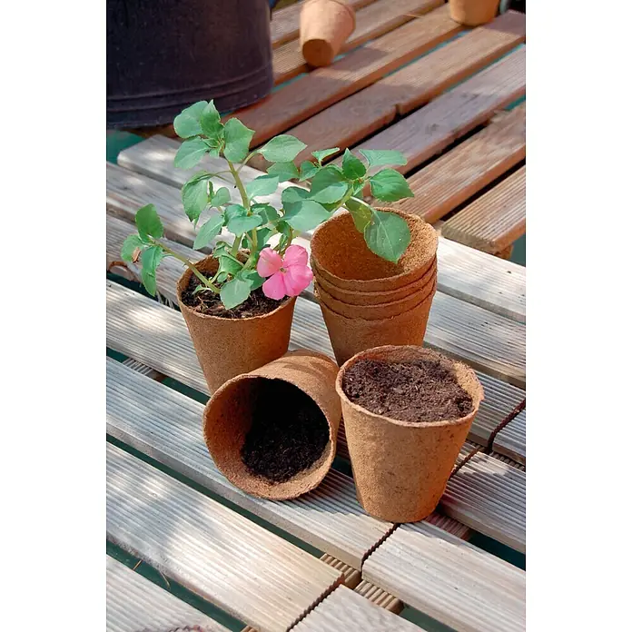Nortene Maceta de cultivo Growing Pots - 24 ud. - Primer plano de macetas de siembra de celulosa, algunas llenas de tierra y una con una planta de flor rosa.