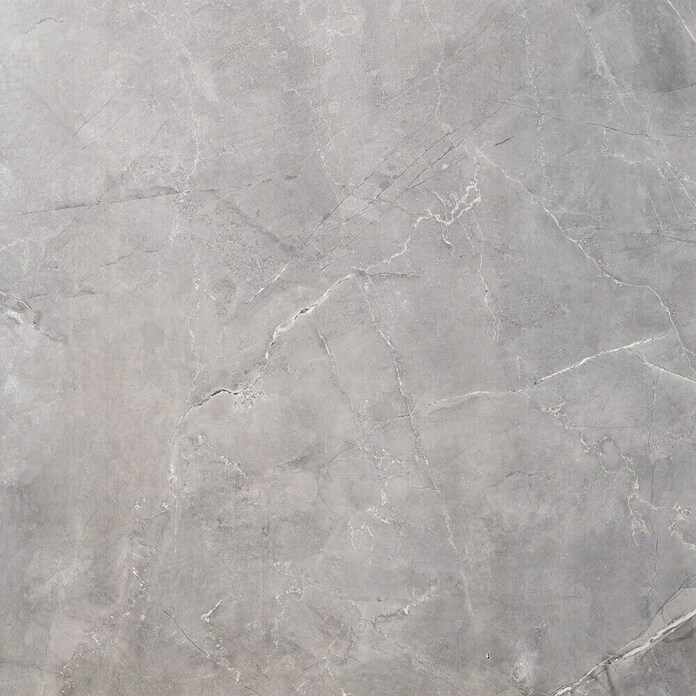 Granitogresne ploščice Premium Marble  (80 x 80 cm, Siva, Sijaj) | 4240 - Natursteinoptik | EAFA - Bodenfliesen | EAF - Fliesen | EA - Fliesen | E - Fliesen | BAUHAUS