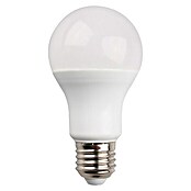 Garza Bombilla LED (12 W, E27, Color de luz: Blanco cálido, No regulable, Redondeada)