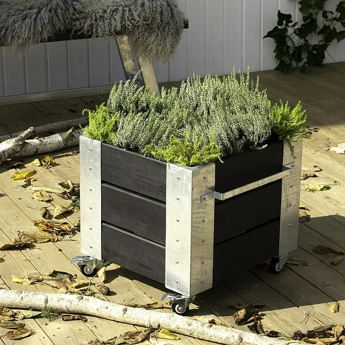 Plus Pflanzkübel eckig Cubic50 x 46 x 45 cm, Schwarz, Kiefer - Schwarzer Pflanzkasten mit silbernen Akzenten und Rollen, bepflanzt mit grünen Pflanzen, steht auf einer Holzterrasse.