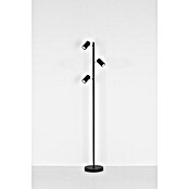 Globo Robby Stajaća svjetiljka  (5 W, Visina: 154 cm, GU10) | BAUHAUS