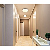 Tween Light Okrugla stropna LED svjetiljka Manarola  (24 W, Ø x V: 35 x 10 cm, Boja svjetla: Topla bijela) | BAUHAUS