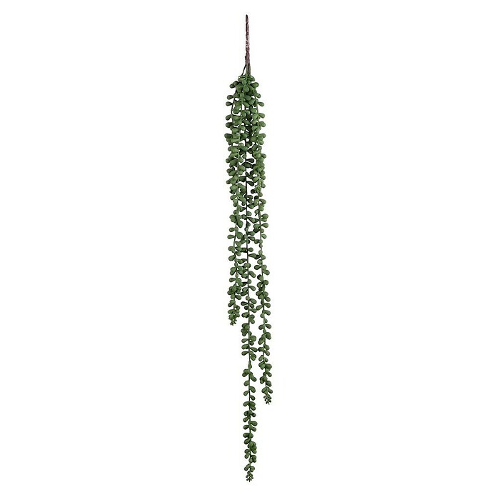 Planta artificial Senecio (71 cm, Verde, Plástico) | BAUHAUS