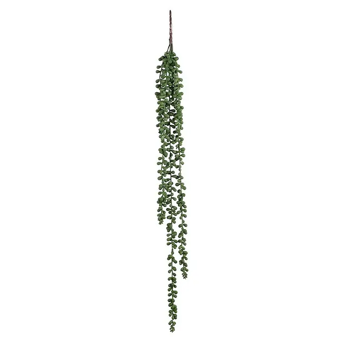 Piardino Bogenhanf (Sansevieria trifasciata, Topfgre: 17 cm, Blattfarbe:  Gelb-Grn) | BAUHAUS