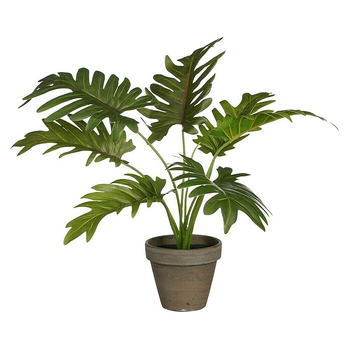 Planta artificial Filondendron (Altura: 30 cm, Verde, Plástico) | BAUHAUS