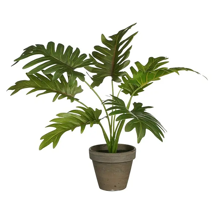 Planta artificial Filondendron - Altura: 30 cm, Verde, Plástico - Planta artificial Philodendron Xanadu en maceta de terracota, perfecta para interiores, detallada y fácil de cuidar. Ideal para espacios de vida y oficinas.