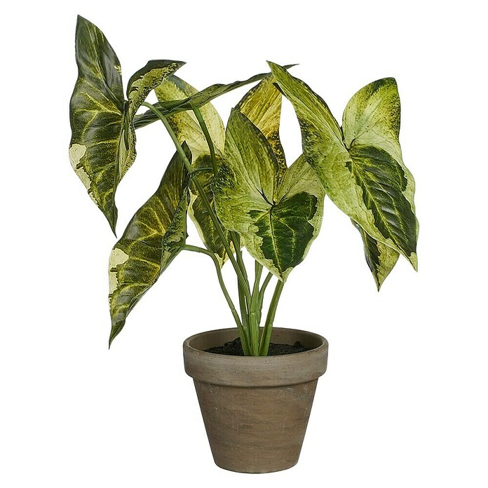 Planta artificial Syngonium (Altura: 28 cm, Verde, Plástico) | BAUHAUS