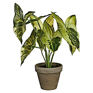 Planta artificial Syngonium (Altura: 28 cm, Verde, Plástico)