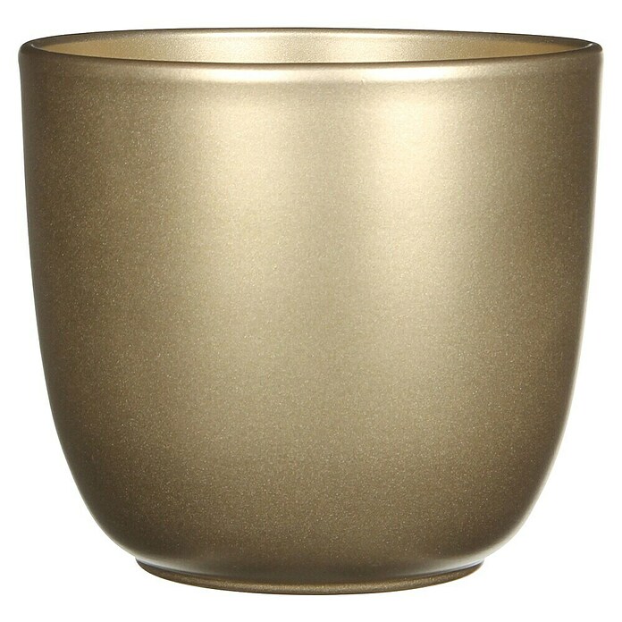 Maceta para planta Tusca (Dimensiones externas (Ø x Al): 14,5 x 14 cm, Cerámica, Dorado) | BAUHAUS
