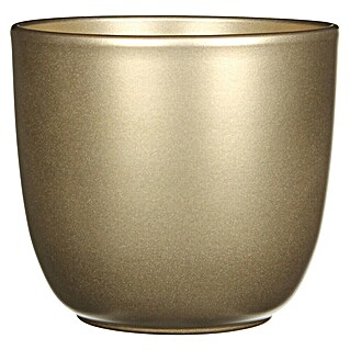 Maceta para planta Tusca (Dimensiones externas (Ø x Al): 14,5 x 14 cm, Cerámica, Dorado)