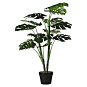 Umjetna biljka Monstera  (Ø x V: 70 x 100 cm, Zelene boje, Plastika) | BAUHAUS