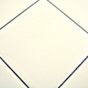 Mosaikfliese Quadrat Uni CQ 135 (29,8 x 29,8 cm, Beige, Matt)