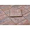 Terrassenplatte Piazza (L x B x S: 40 x 40 x 4 cm, Muschelkalk, Beton)