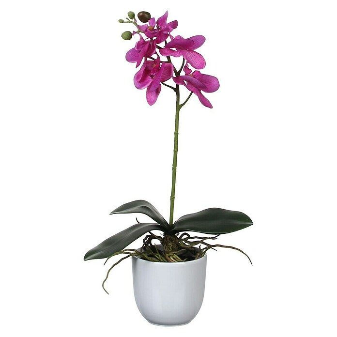 Edelmann Umjetna biljka Phalaenopsis  (Visina: 48 cm, Ljubičasta, Plastika) | BAUHAUS