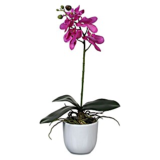 Edelmann Umjetna biljka Phalaenopsis (Visina: 48 cm, Ljubičasta, Plastika)