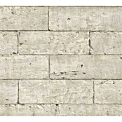 Lutèce Authentic Walls 2 Vliestapete (Grau, Steinoptik, 10,05 x 0,53 m)