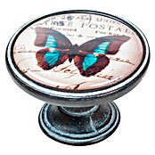 Nesu Pomo para muebles Mariposa (Ø x Al: 37 x 26 mm, Metal)