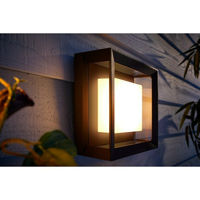 Philips Hue LED-Außenwandleuchte White & Color Ambiance Econic Quadratisch (1-flammig, 15 W, Lichtfarbe: Bunt, IP44)