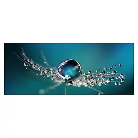 ProArt  Glasbild