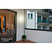 Müller-Licht LED-Wand- & Deckenleuchte Pictor Sensor (8 W, Weiß, Ø x H: 17,5 x 6,4 cm)