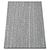 Granitplatte (Titangrau, 40 x 60 x 3 cm, Granit) | BAUHAUS