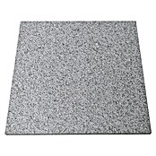 Granitplatte G 603 (Grau, 60 x 60 x 3 cm, Granit) BAUHAUS