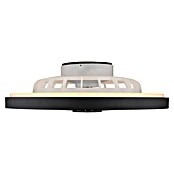Globo Stropni ventilator Blizzak  (54 cm, 45 W) | BAUHAUS