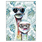 Cuadro Tropic Avestruz (Tropic Avestruz, An x Al: 30 x 40 cm, 1 pzs.) | BAUHAUS