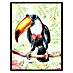 Cuadro Tropical Tucán 