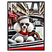 Cuadro City Caniche (City Caniche, An x Al: 30 x 40 cm, 1 pzs.) | BAUHAUS