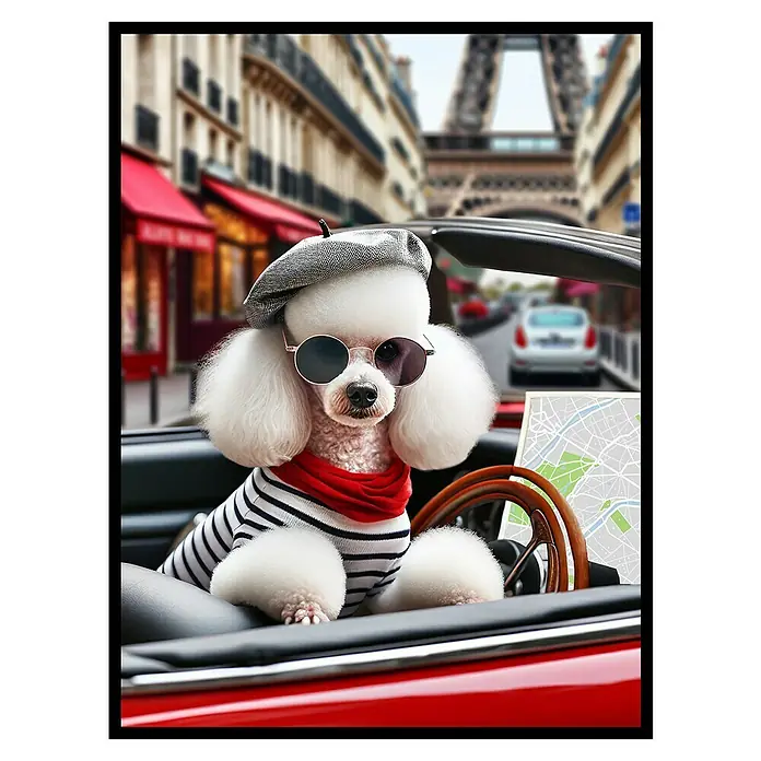 Cuadro City Caniche - City Caniche, An x Al: 30 x 40 cm, 1 pzs. - Un caniche blanco con boina y blusa de rayas en un convertible rojo con el horizonte de París al fondo.