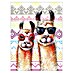 Cuadro Tropical Llamas 
